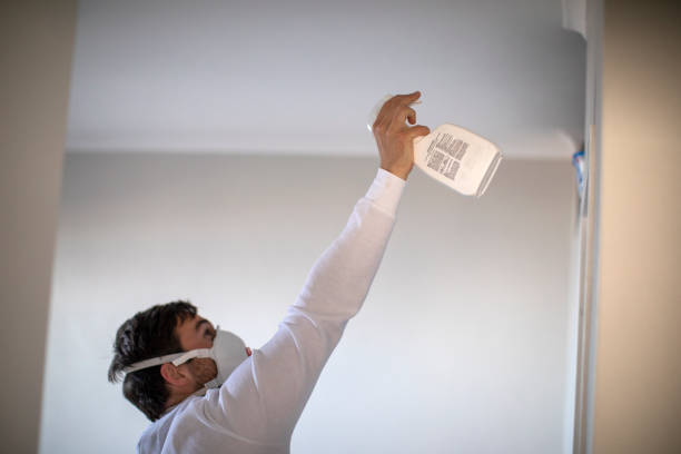 Best Fast Mold Removal  in Tarboro, NC