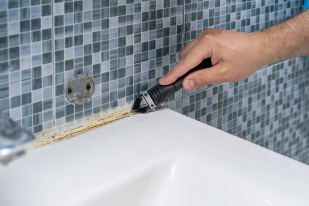  Tarboro, NC Mold Removal Pros